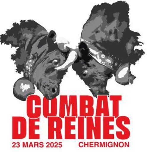 Logo du combat de reines le 23 mars 2025 à Chermignon en Valais